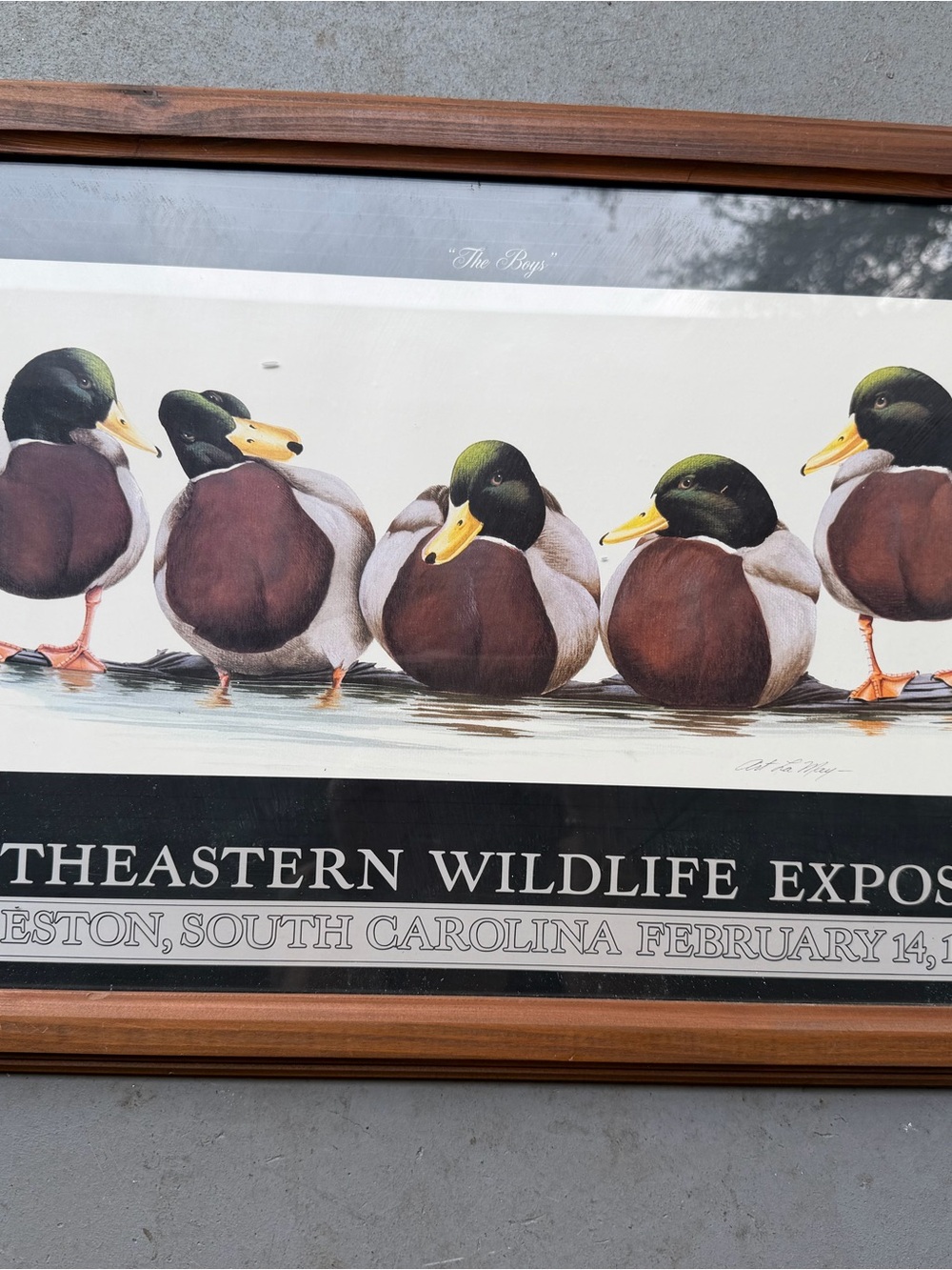 Ducks Unlimited signed, edition! Framed Mallard Duck Print "The Boys"